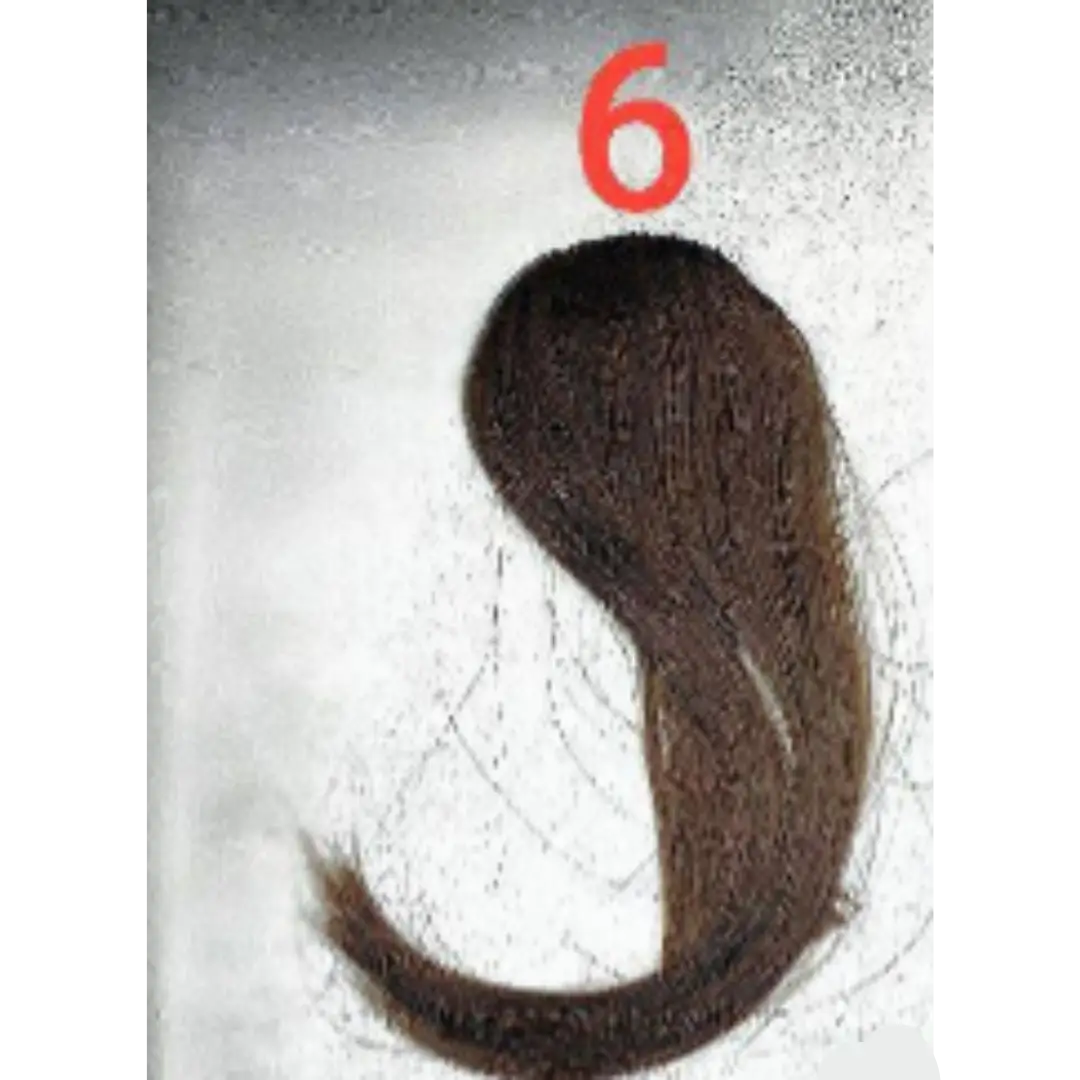 قصه فرنشه خفيفه