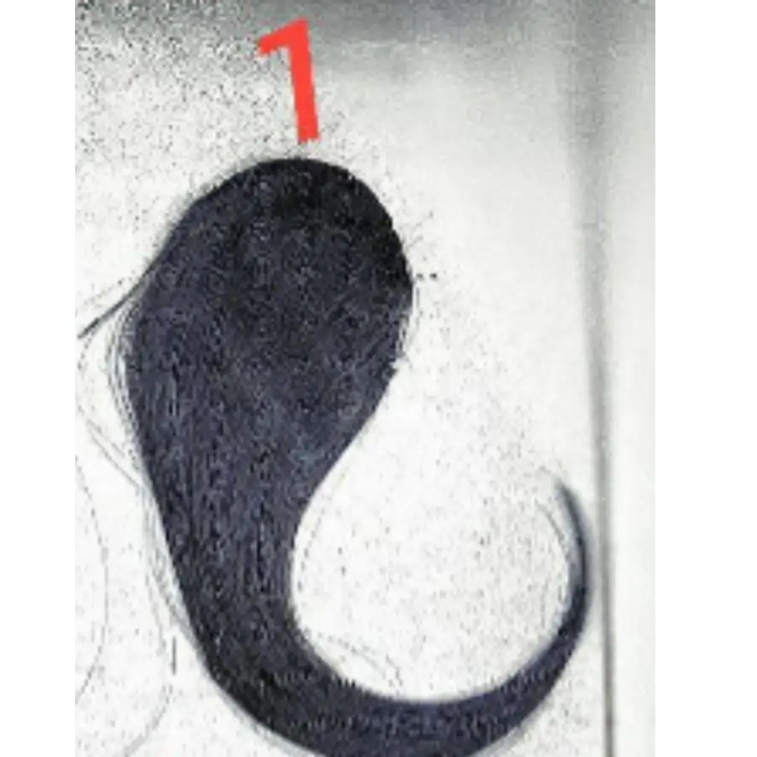 قصه فرنشه خفيفه